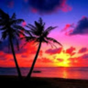 Meet your Posher, Kendra